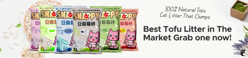 Snappy — Tofu Cat Litter